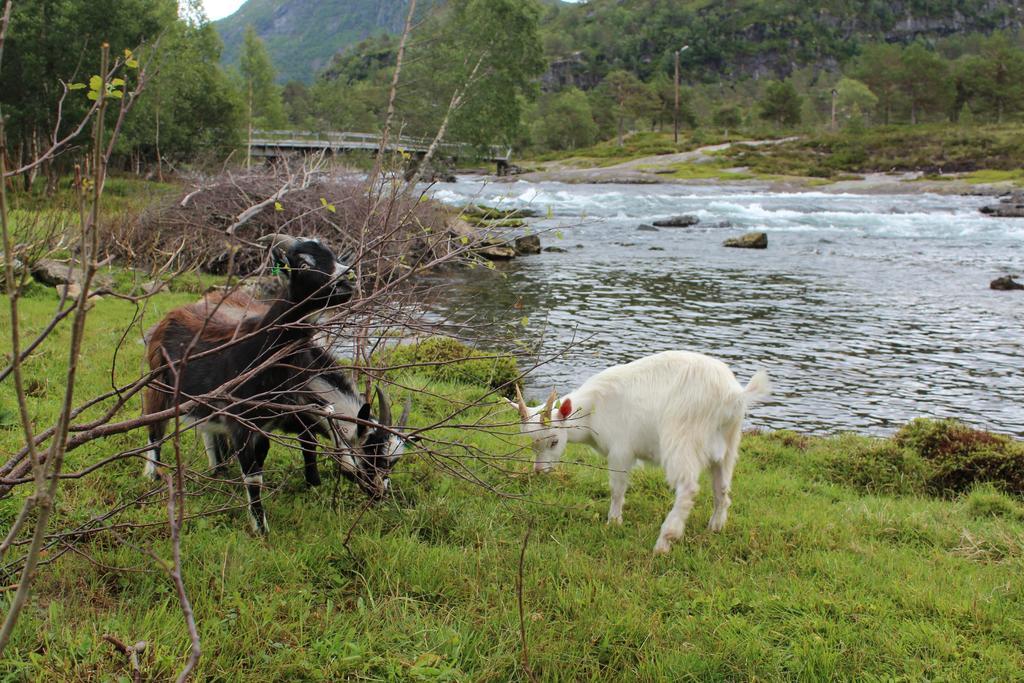Farm stay Flatheim Viksdalen